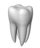 Dentistry moderno. Dental care.